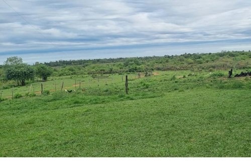 Terreno-Venta-SAN PEDRO, San Pedro, San Pedro — foto 3