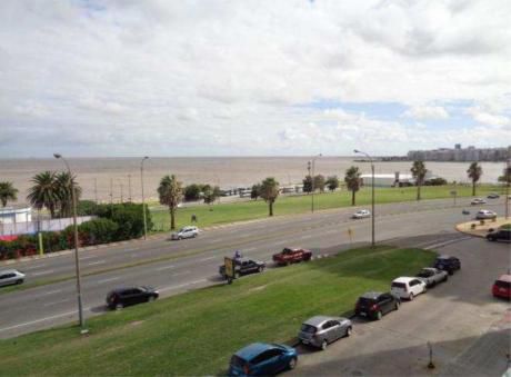 Pocitos Nuevo - Excelente Planta De 230 M2 Totales
