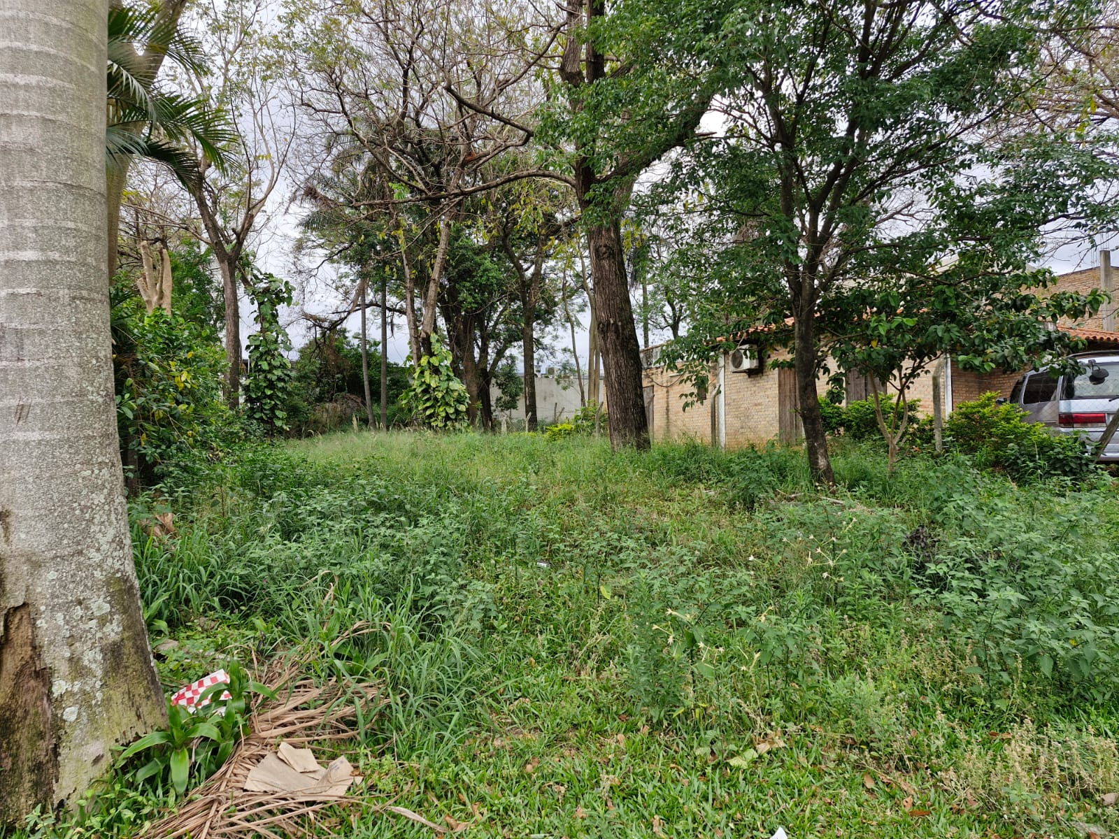 TERRENO EN VENTA | VILLA ELISA* - foto 5