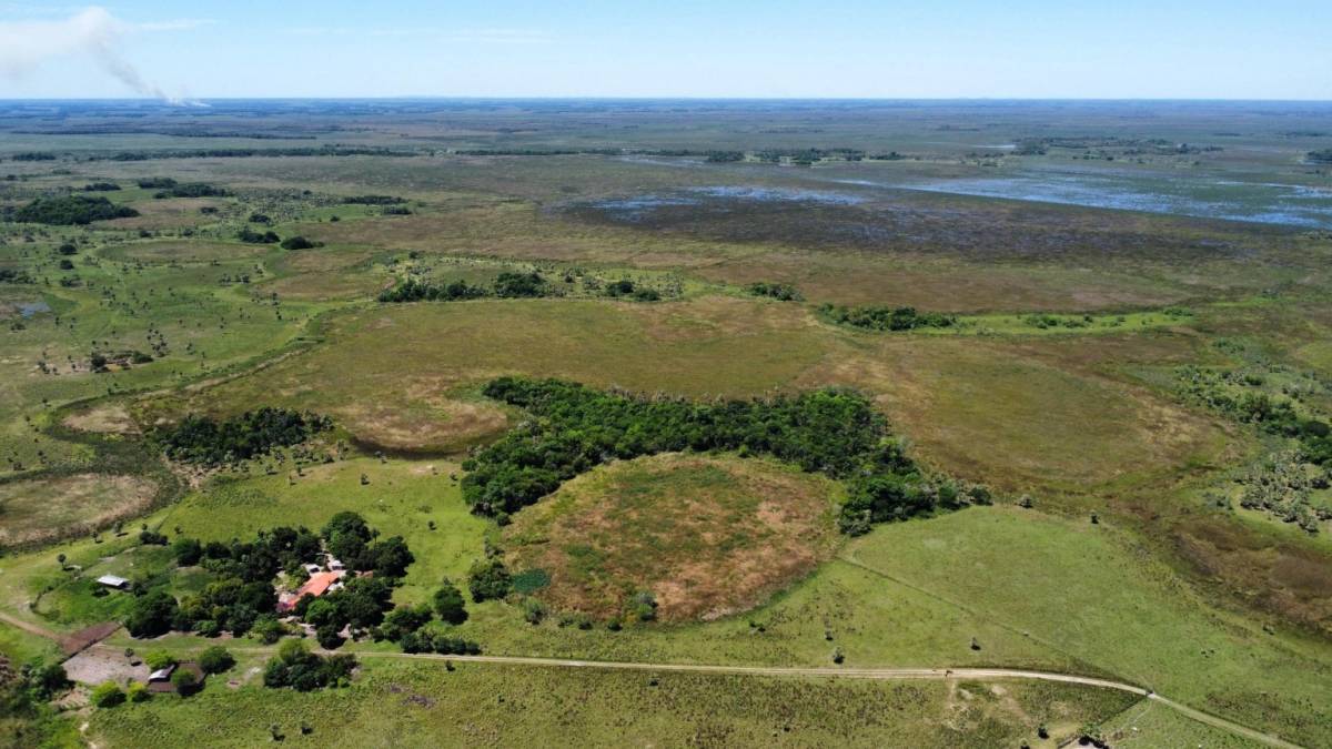 VENTA - Estancia agropecuaria 244 ha en Tacuaras - Pilar, Neembucu — foto 3