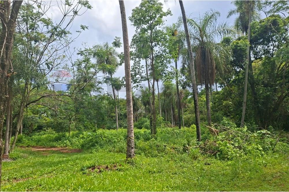 Terreno en San Bernardino — foto 3
