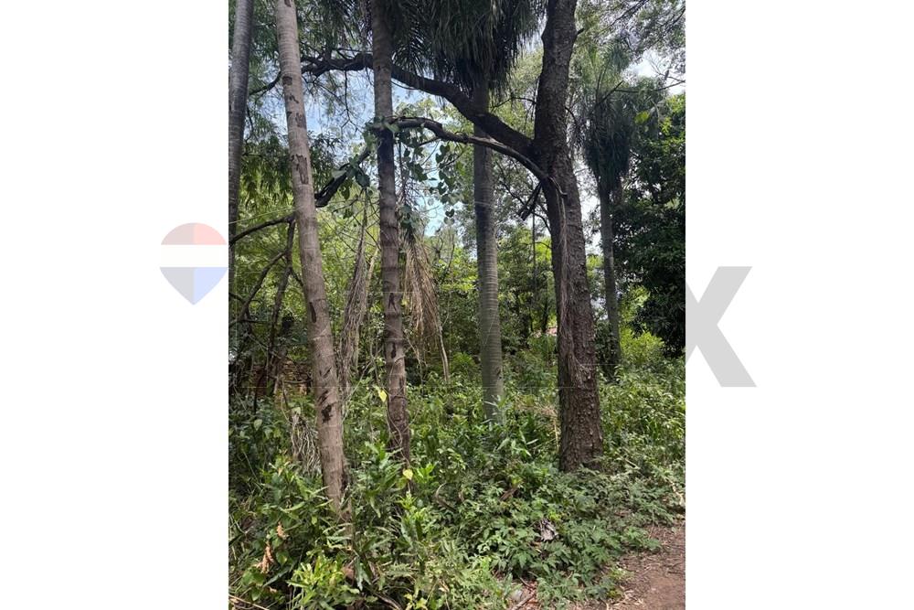 TERRENO EN VENTA - MARIANO ROQUE ALONSO — foto 3