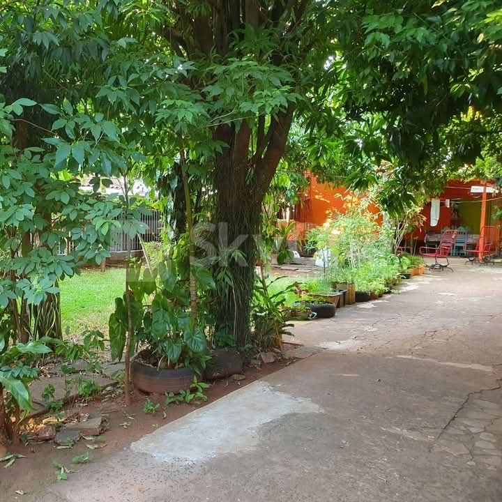 VENDO TERRENO COMERCIAL KM4 CIUDAD DEL ESTE — foto 3
