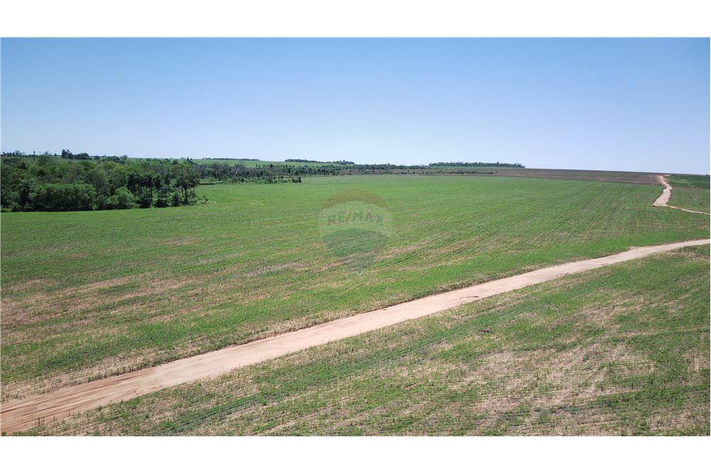 EN VENTA 390 HAS EN ALTO PARANÁ — foto 3