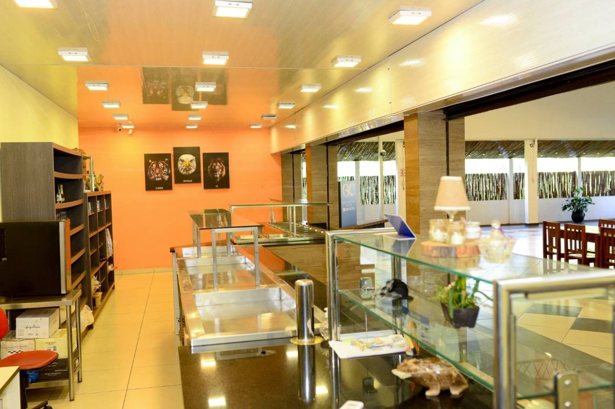 CASA QUINTA EN VENTA EN PDTE FRANCO KM 8 MONDAY — foto 3
