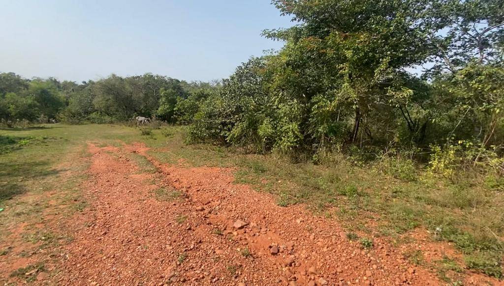 VENDO TERRENO DE 360 m2 EN LUQUE ZONA JUKYRY — foto 3