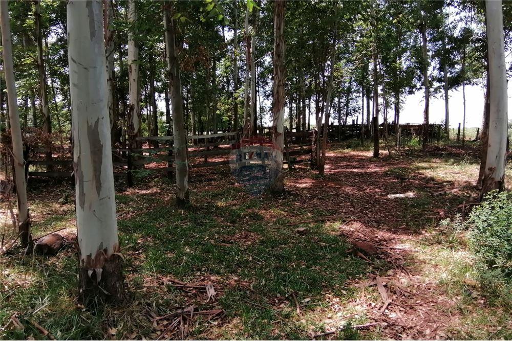 Terreno - Venta - Cambyretá, Itapúa, Paraguay — foto 3