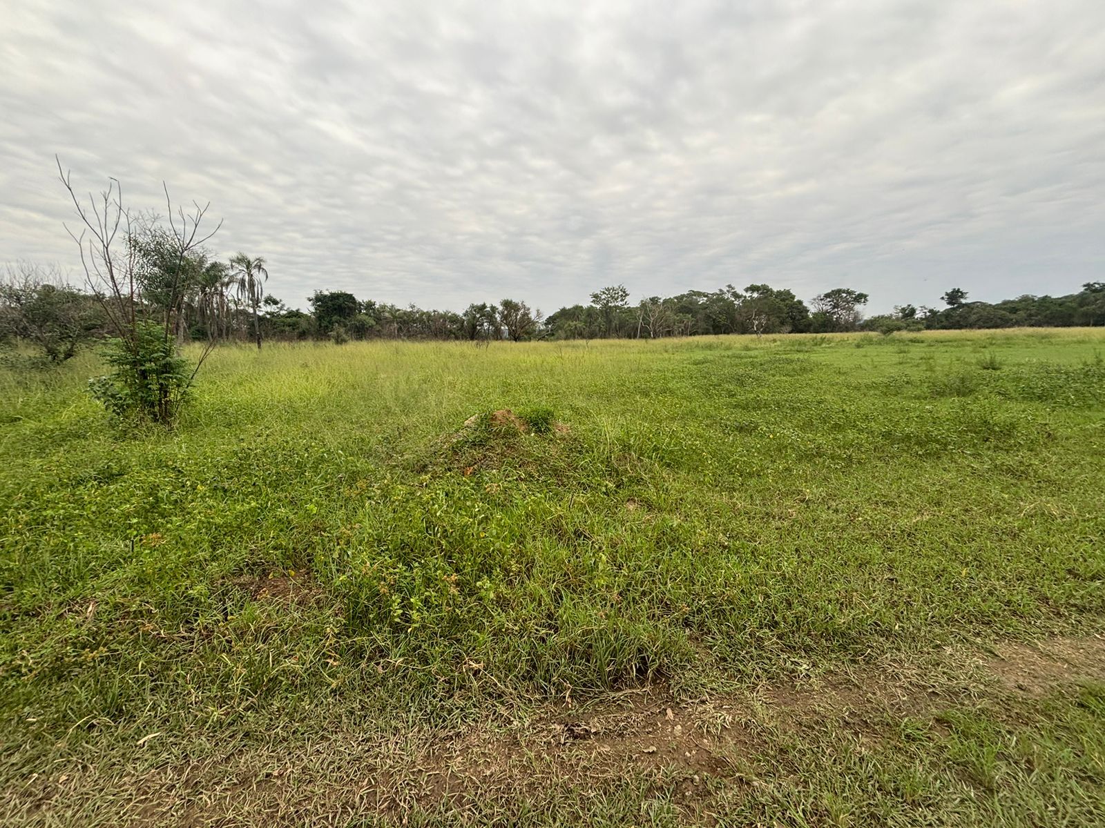 EN VENTA  HERMOSO TERRENO EN SANBER — foto 3