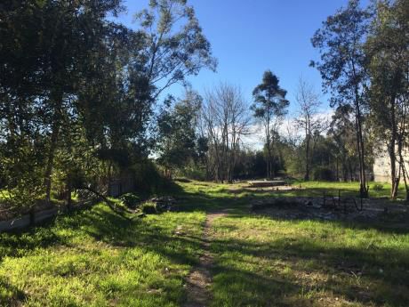 Terreno 1200 M2 Sobre Ruta