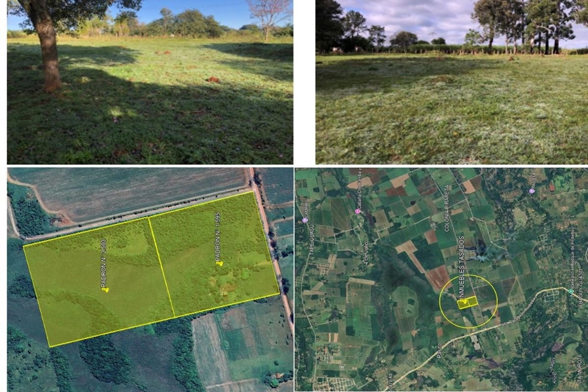 Vendo Finca Agricola - Colonia PIRARETÁ,PIRIBEBUY, PARAGUARÍ — foto 3