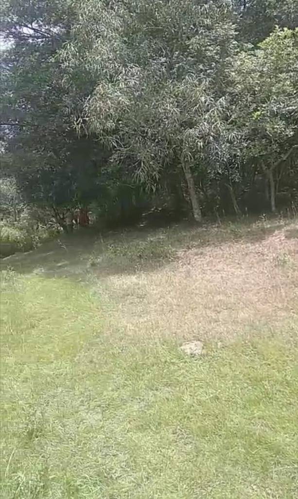 Vendo hermosa propiedad con Arroyo en Mbatovi Paraguarí — foto 3