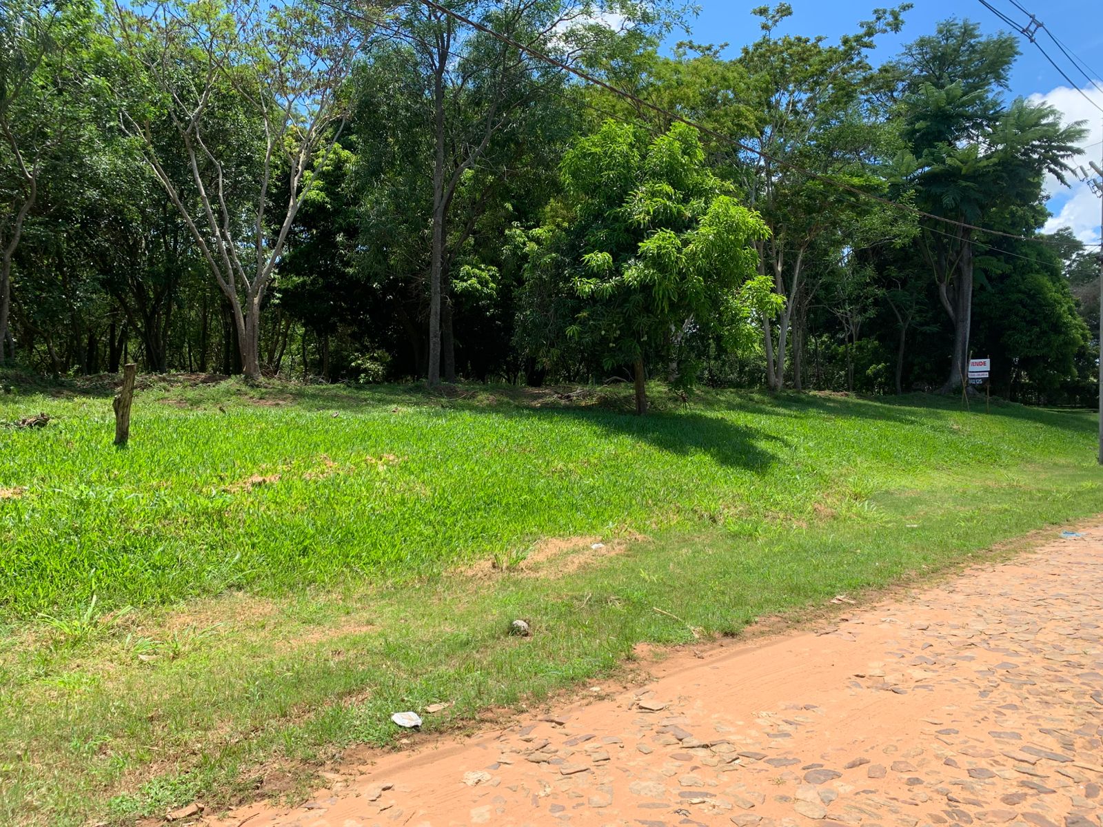 VENDO GRAN TERRENO EN SAN BERNARDINO ZONA CIERVO CUA — foto 2