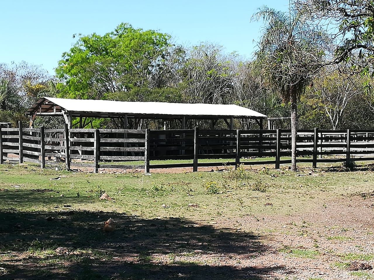 ¡OPORTUNIDAD DE INVERSION! En la ciudad de Caapucu-Paraguari — foto 2