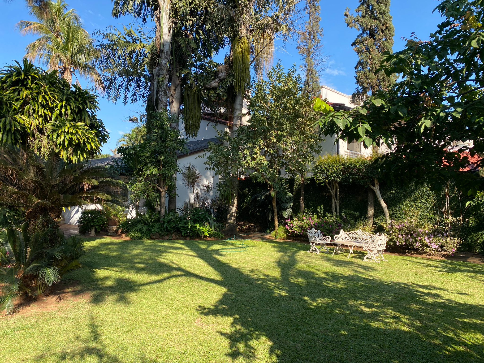 VENDO TERRENO PARA DESARROLLO 1600M2 SOBRE HASSLER — foto 3