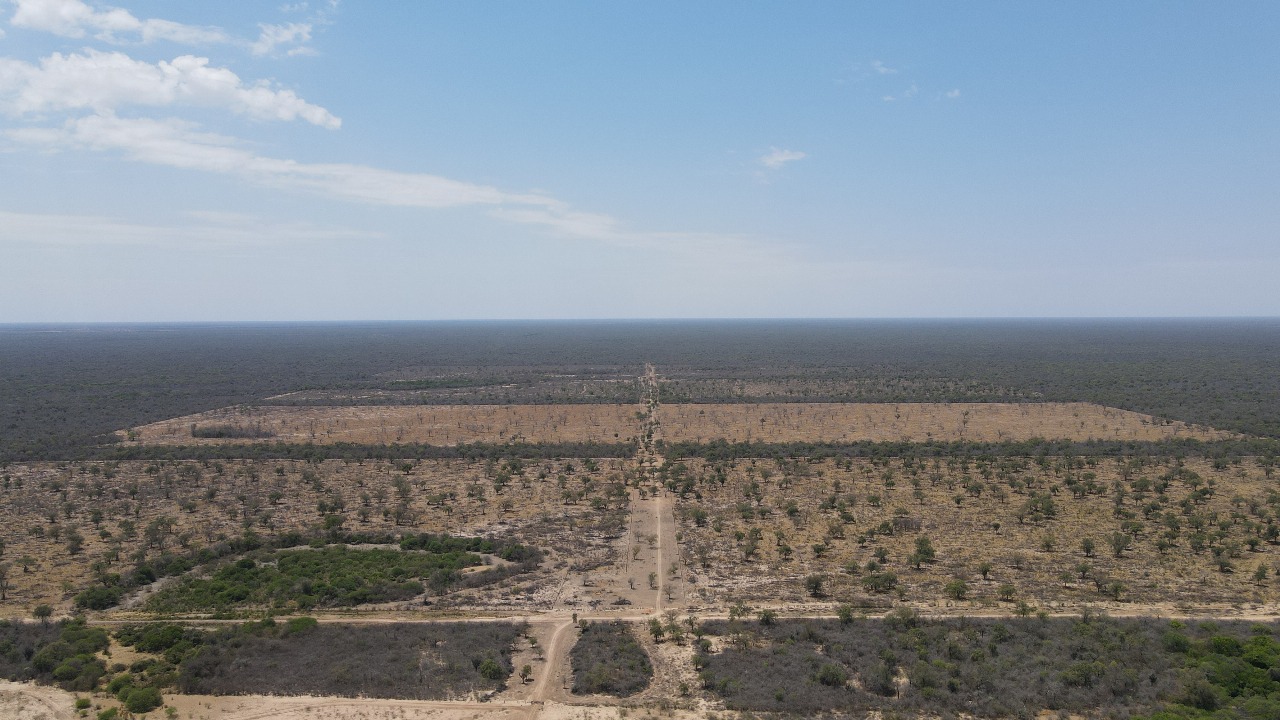 Vendo Campo de 7.031 Hectáreas en Zona Prat Gill, Boquerón - CLCS7315976 — foto 2