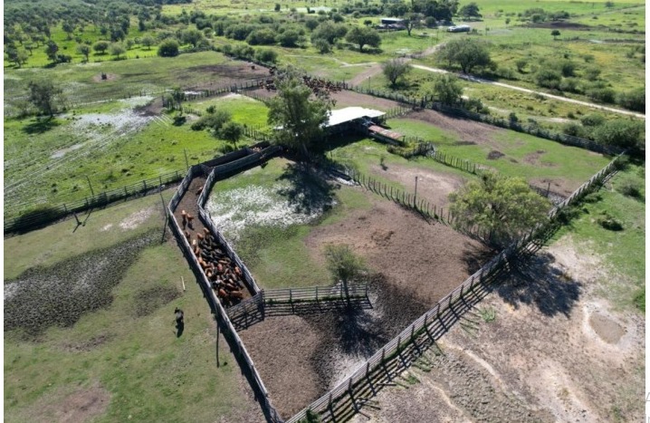 Vendo Estancia de 4.468 Hectáreas en Villa Hayes, Zona Ninfa - CLCS6589967 — foto 2