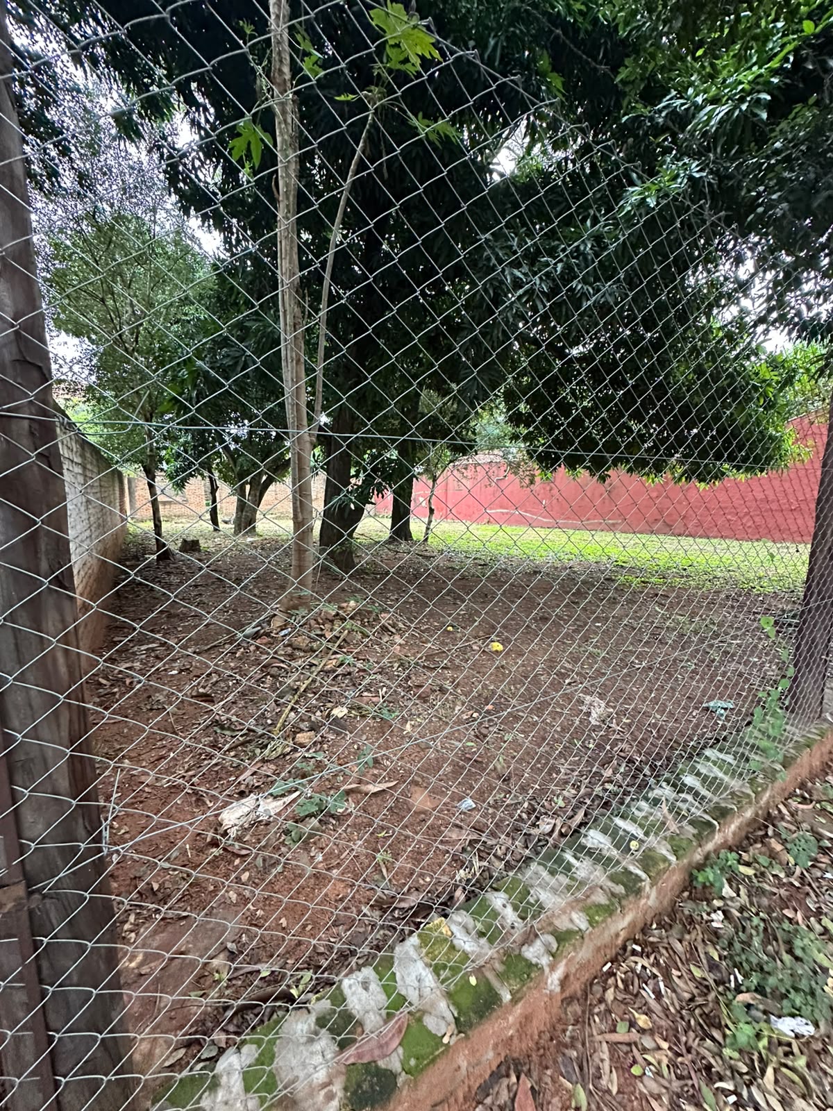 VENTA DE TERRENO SOBRE ASFALTO EN SAN LORENZO — foto 2