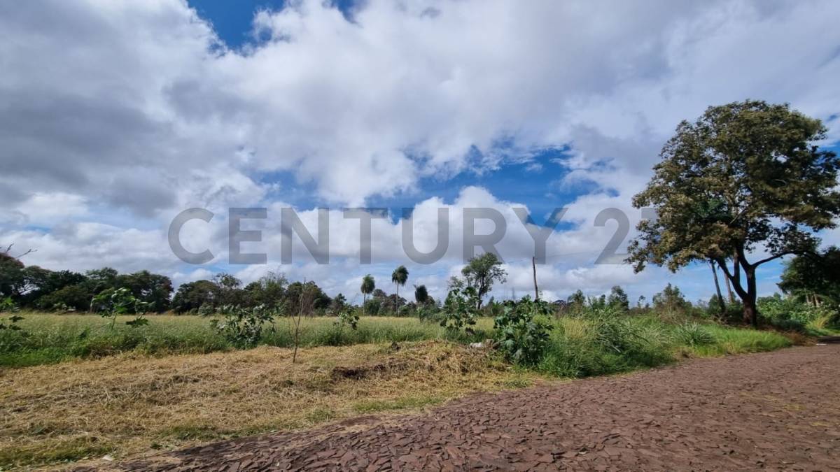 Terreno de 4.8 Hectáreas en Pedro Juan Caballero - foto 3