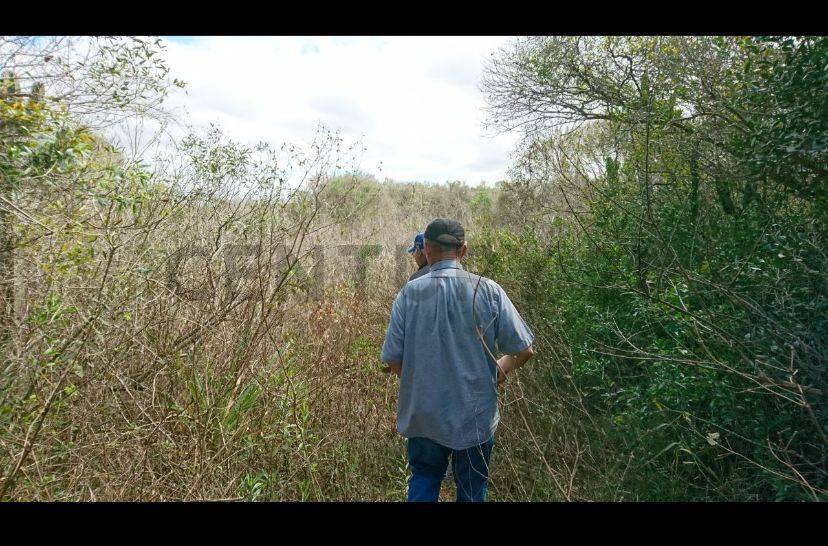 Venta de terreno en Caaguazú — foto 3