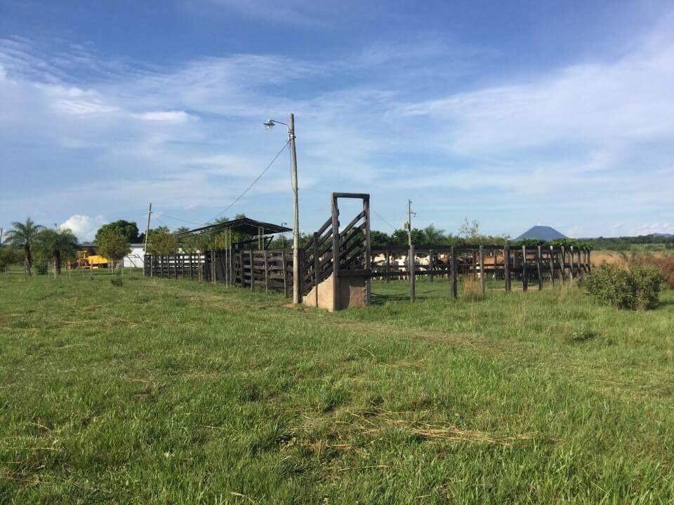 Vendo 90 HECTAREAS YBYCUI — foto 2
