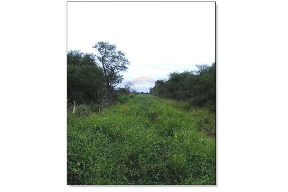 Estancia/Campo - Venta - Boquerón Fortín Pozo Hondo — foto 3