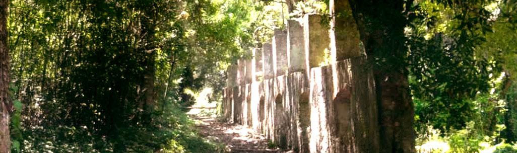 Un restaurante fuera de lo común