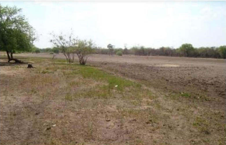 Vendo Campo de 24.000 Hectáreas en Puerto Casado, Alto Paraguay - CLCS5839314 — foto 2