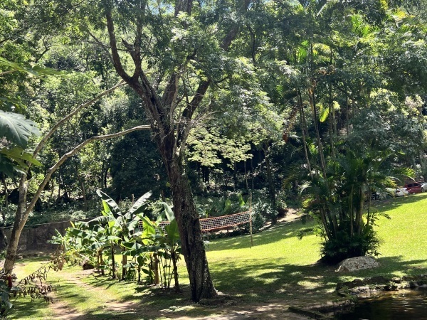 QUINTA EN VENTA EN PARAGUARI — foto 3