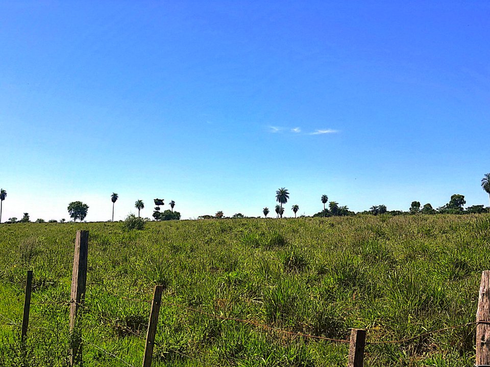 VENDO PROPIEDAD RURAL CORONEL OVIEDO A 4 KM DE LA CIUDAD — foto 2
