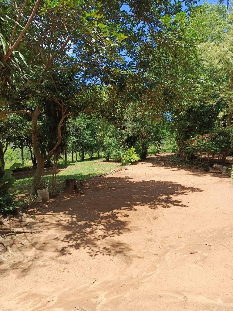 VENDO EN PARAGUARI, MBATOVI,  1 Ha 295 m2, con casa sencilla y tatacua — foto 3