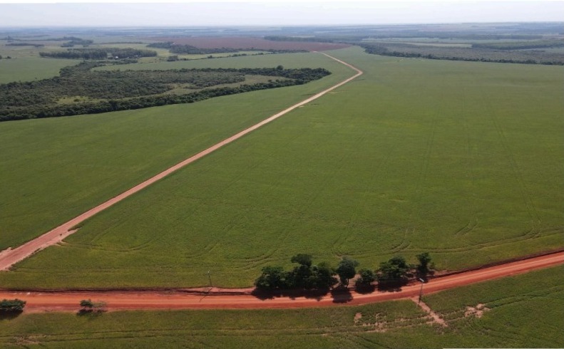 Vendo Campo de 914 Hectáreas en Alto Paraná-CLCS5526190 — foto 3