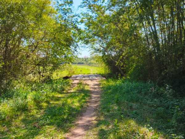 70 HECTAREAS EN PARAGUARI YBYTUMI IDEAL PARA CANTERA — foto 2