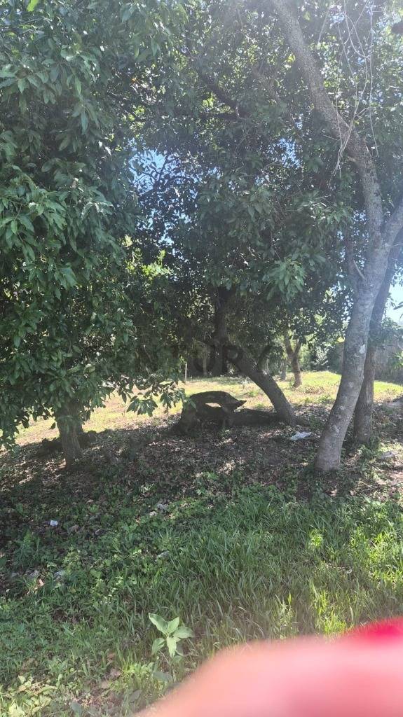 Venta de Terreno en Altos, Cordillera — foto 3