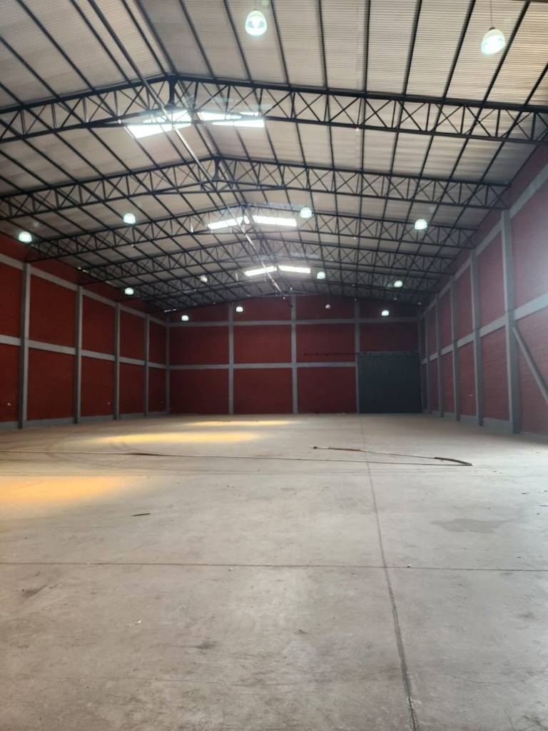 ALQUILO AMPLIO TINGLADO EN LIMPIO 1000 m2 — foto 2