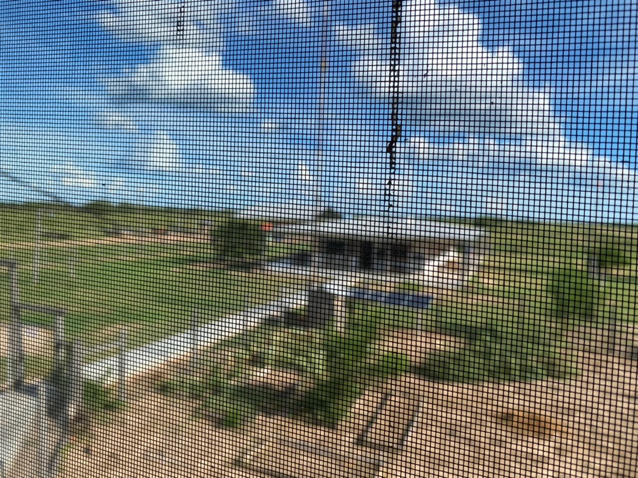 VENDO EXCELENTE CAMPO GANADERO EN ALTO PARAGUAY — foto 3