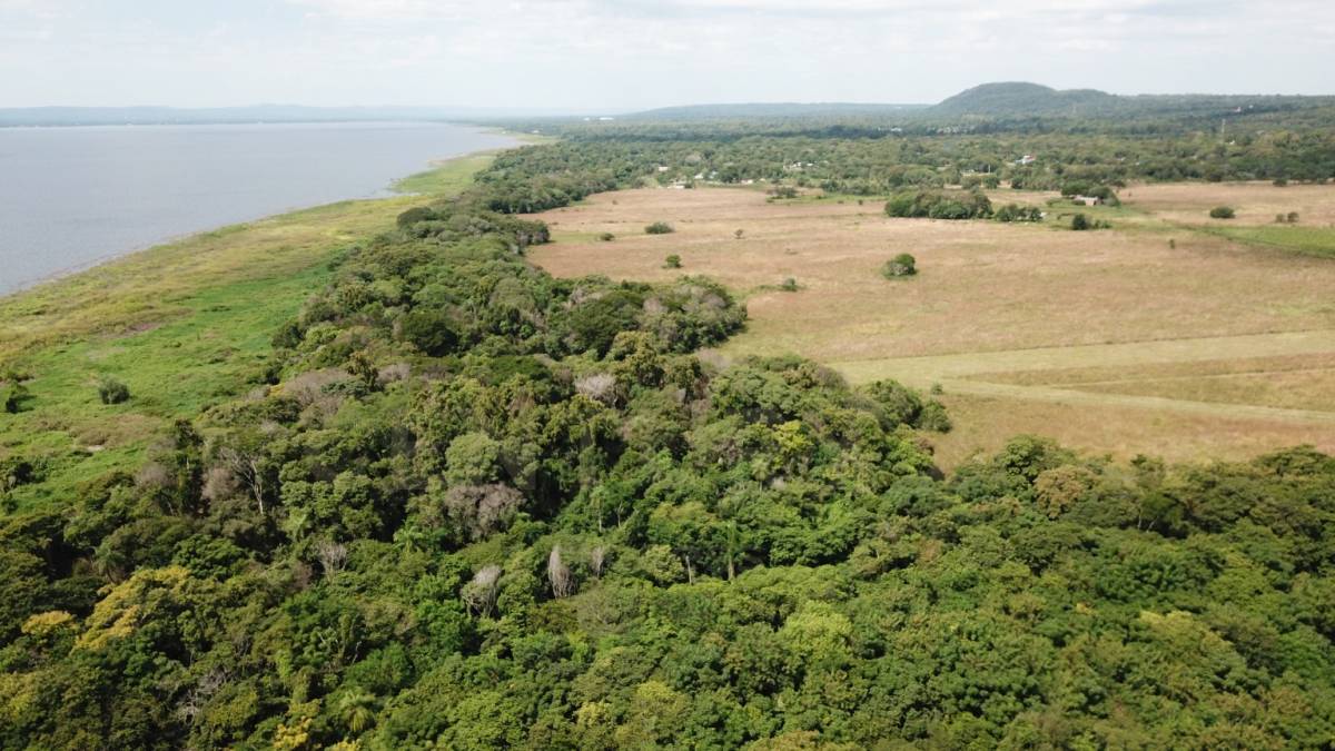 82 hectareas en Aregua - 1000 m sobre el Lago Ypacarai — foto 3