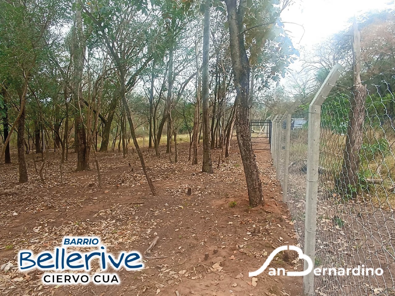 Exclusiva Oportunidad: 2 Lotes Esquinero de 912 M2 en Ciervo Cuá, San Bernardino. Propiedad Totalmente Cercada, Ubicación Estratégica a Solo 300m de la Ruta Luque-San Bernardino. — foto 3