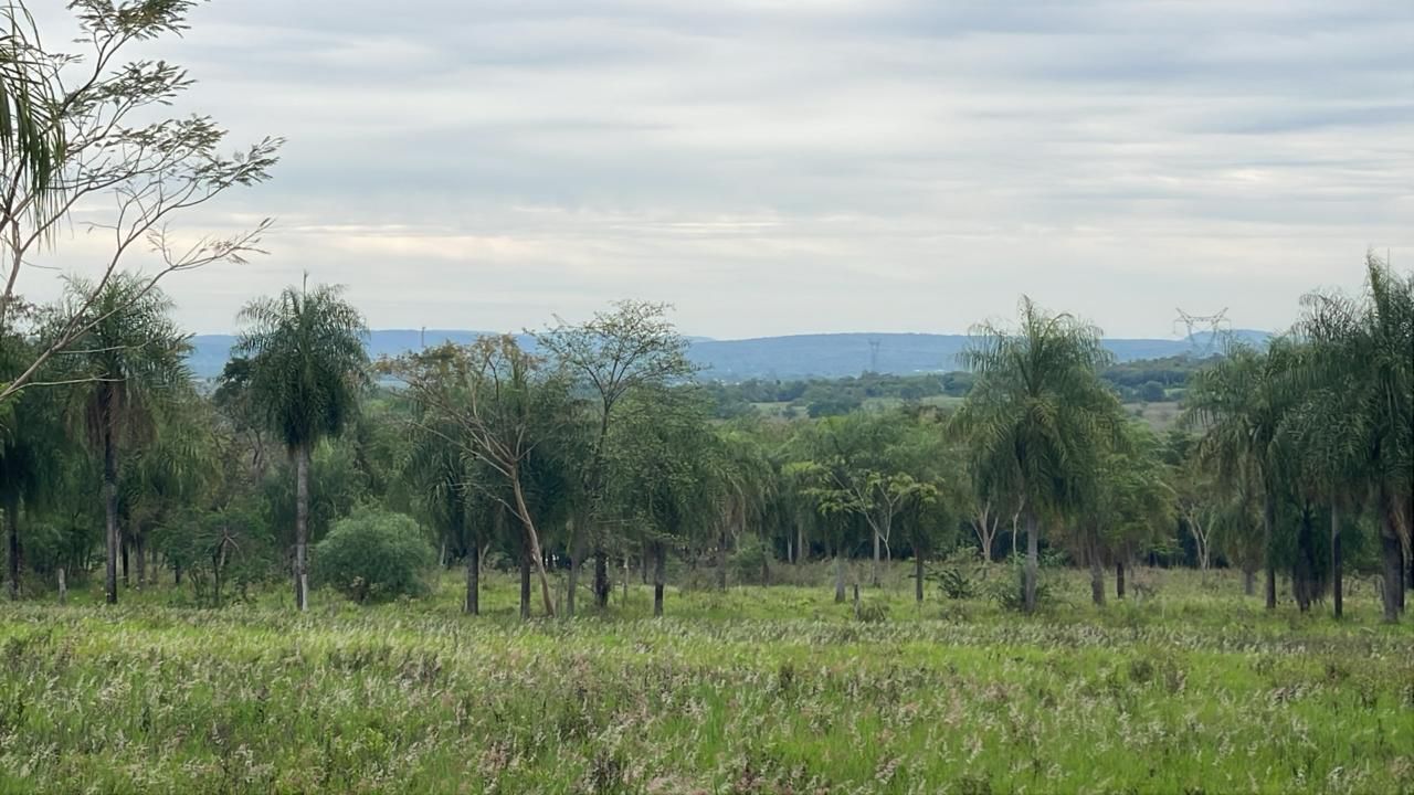 Vendo 9 hectáreas en Tobati - Mompox — foto 2