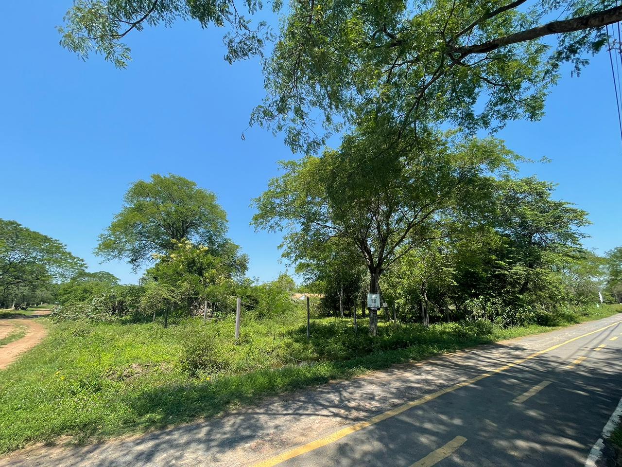 TERRENO EN SAN BERNARDINO – Ciervo Cuá — foto 2