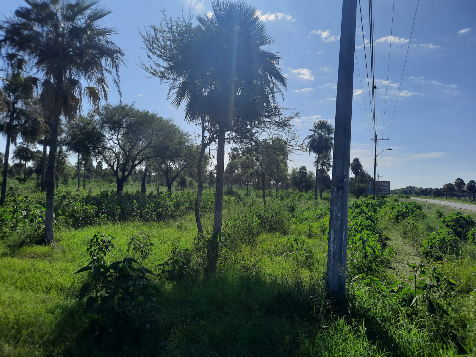 VENDO TERRENO EXCELENTE UBICACION — foto 3