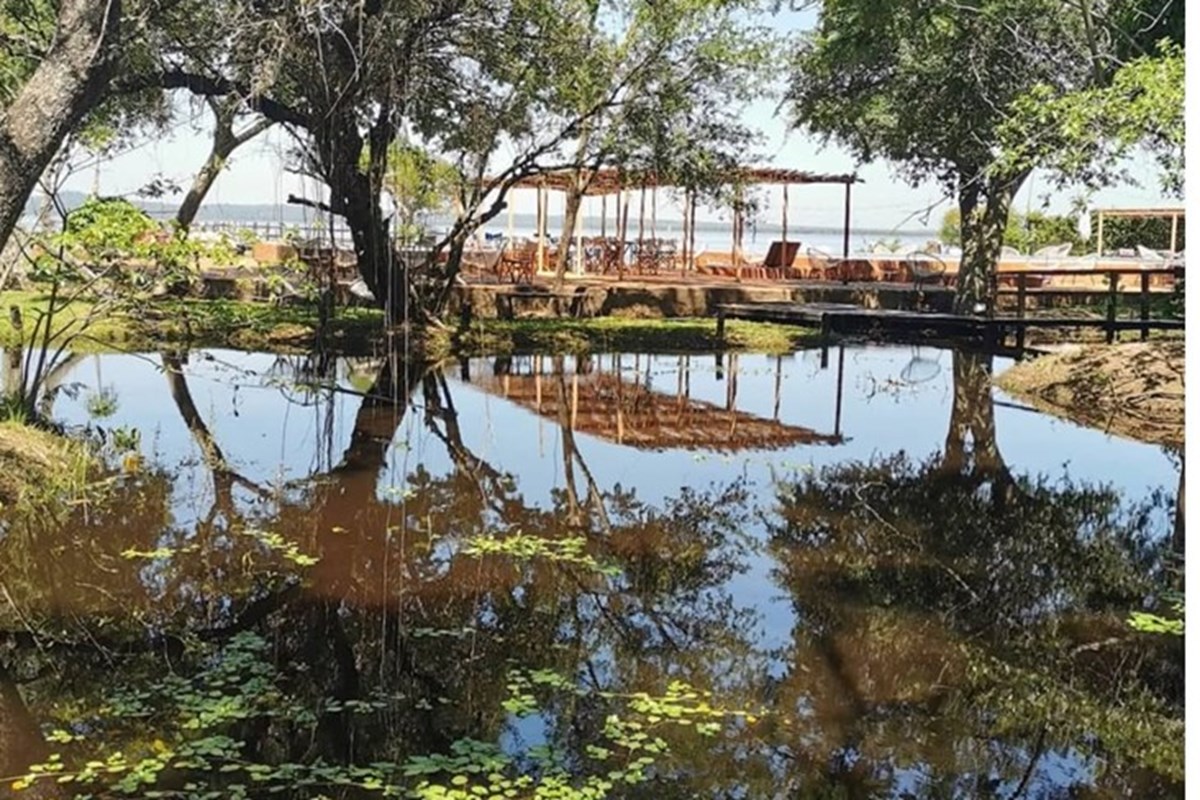 Terreno-Venta-Ciervo cua, San Bernardino, Cordillera — foto 3