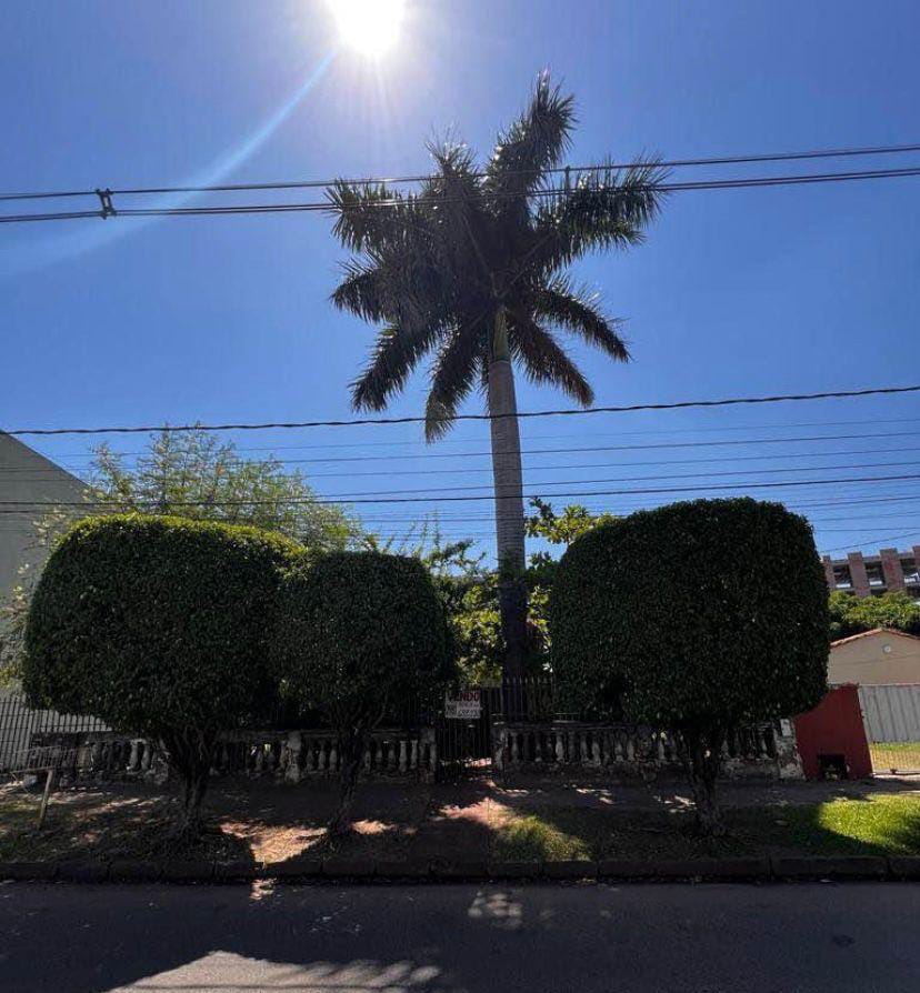 Terreno en venta en Mbocayaty, Ñemby — foto 2