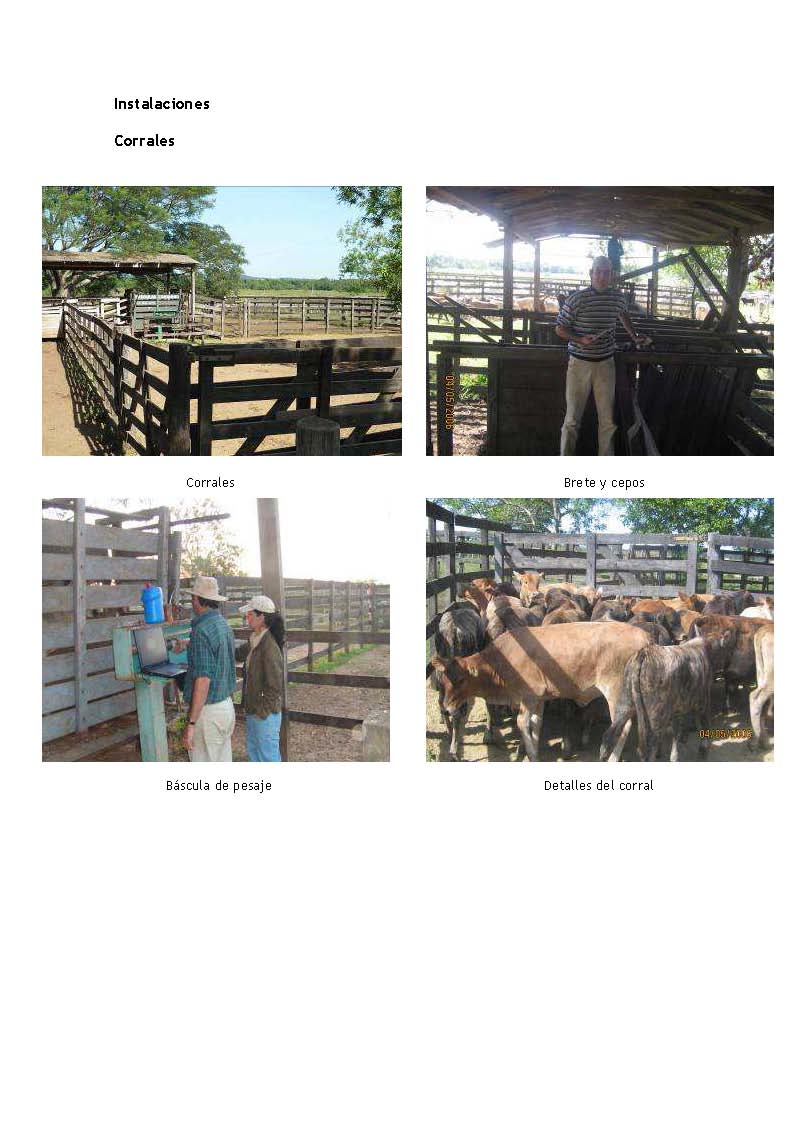 EXCELENTE OPORTUNIDAD - ESTANCIA FORMADA EN CARAYAO LISTA PARA TRABAJAR — foto 2