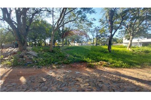 Alquilo Amplio Terreno en la ciudad de Lambaré — foto 2