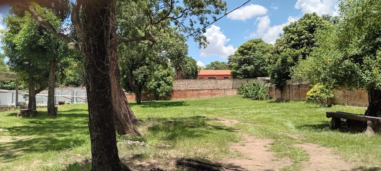 VENDO ESPECTACULAR TERRENO PARA DESARROLLO INMOBILIARIO - ZONA MOLAS LOPEZ — foto 2