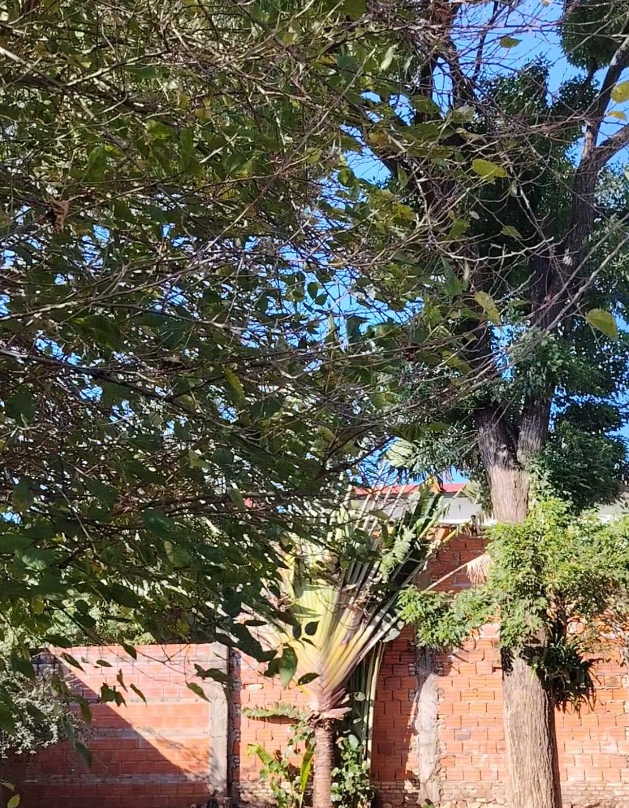 Casa En Venta En ñemby – Barrio Caaguazú — foto 3