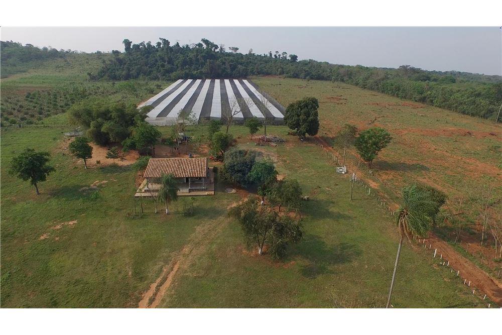 Campo en Arroyos y esteros sobre el rio Piribebuy — foto 3