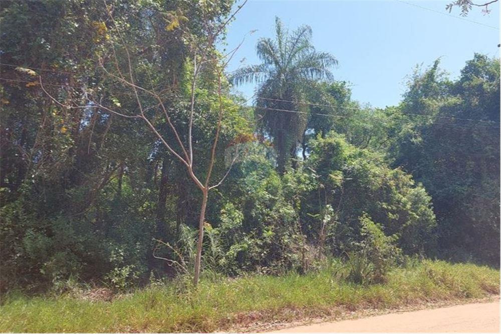 VENDO HERMOSO Y AMPLIO TERRENO EN CAACUPE — foto 3