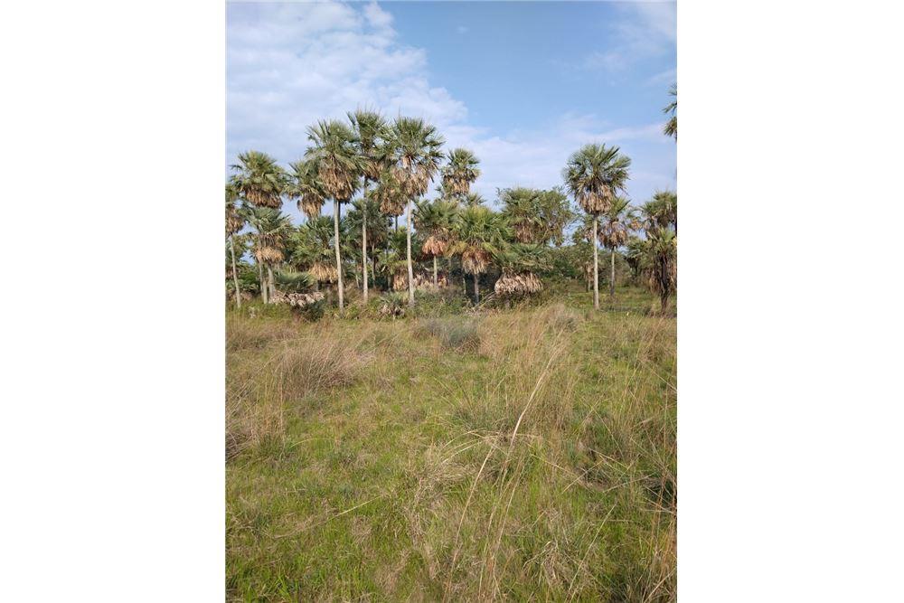Terreno en venta en Villa Oliva — foto 2