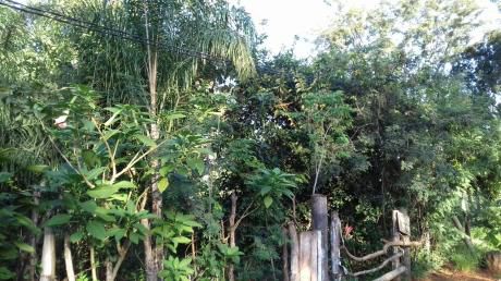 Vendo Hermoso Terreno En ñemby, Pai ñu